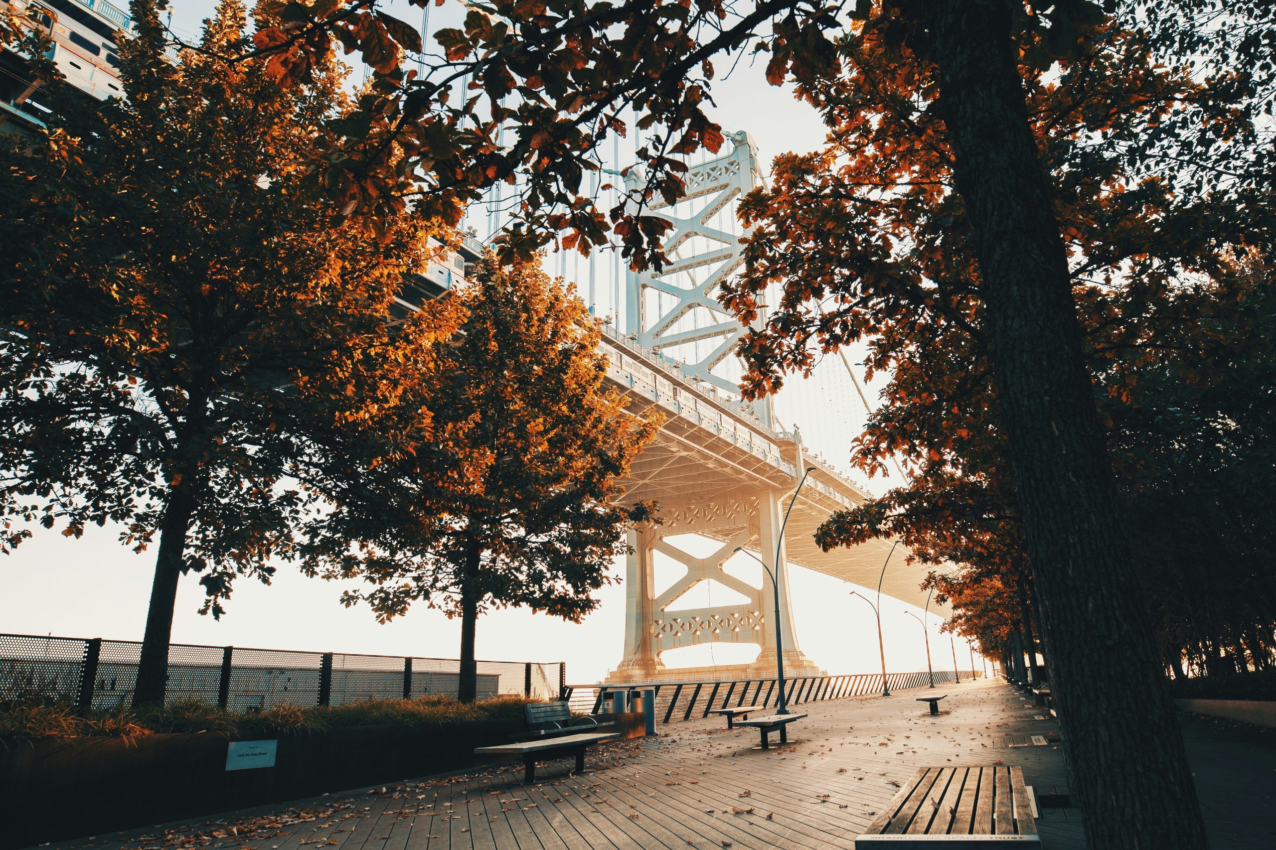 Urban park scene with trees and city structures during autumn in Philadelphia